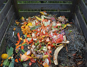 compost_tile.png
