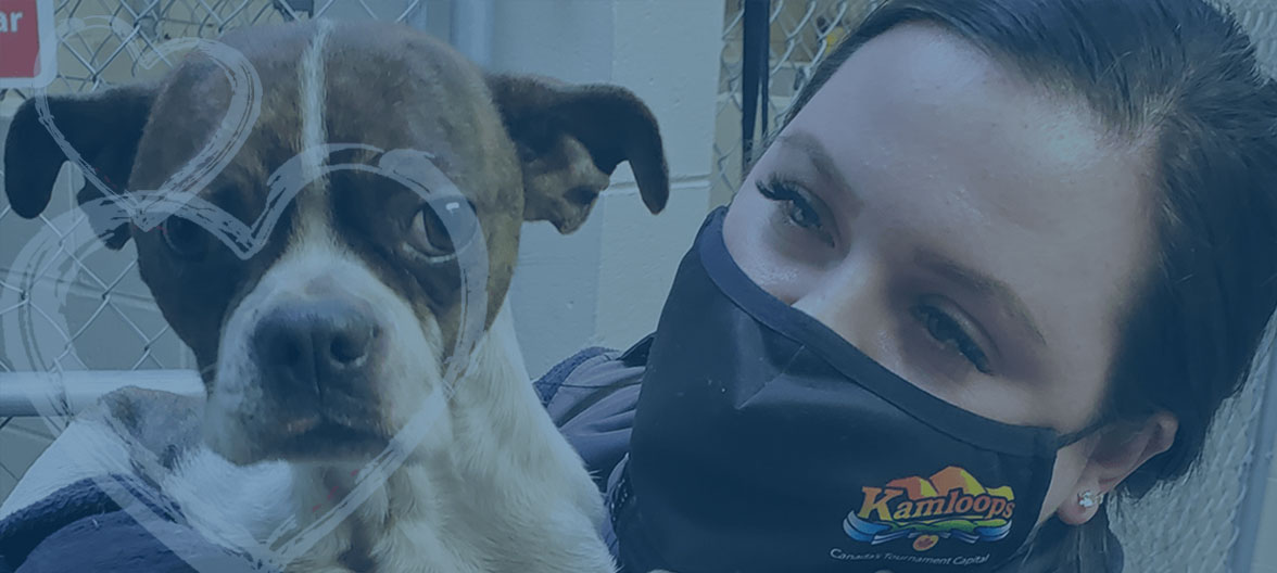 CS Officer with dog