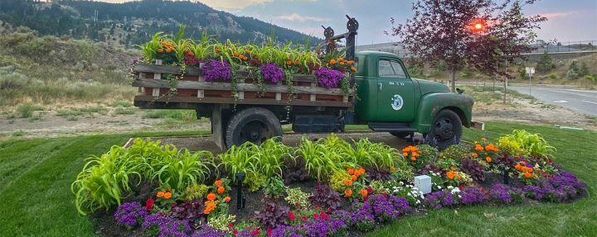 Photo of old truck with a garden