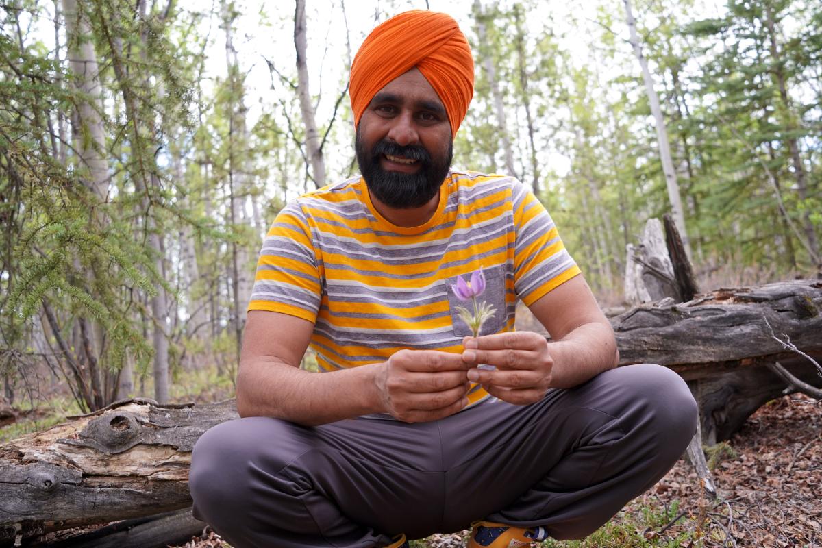 A smiling middle-aged Sikh man in an orange turban, yellow t-shirt and gray slacks squats down holding a purple flower in front of a beautiful Canadian forest landscape
