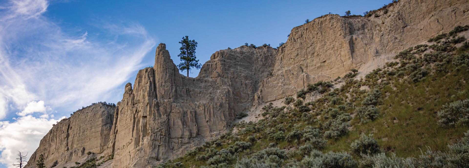 Kamloops Nature