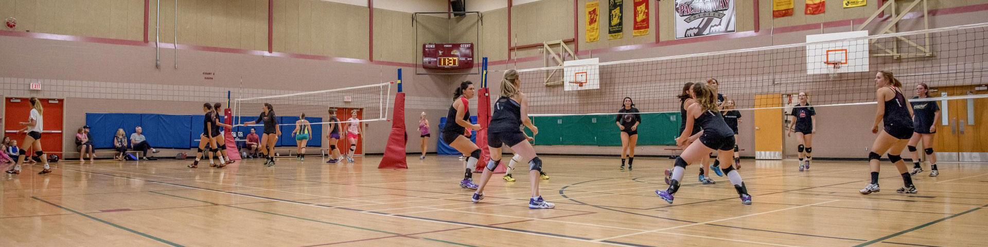 women playing indoor volleyball