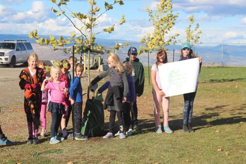 Kids standing next to trees