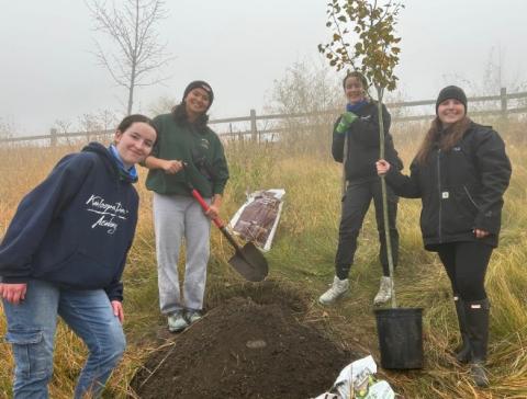 Some youth planting a tree