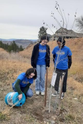 People watering a plant