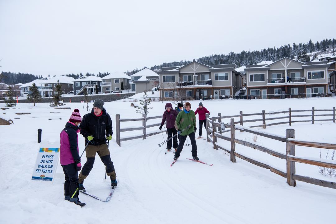 Adults cross country skiiing