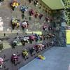 cemetery-search-thumb.jpg
