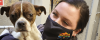 cps_csofounddog_1176x468_jan2022.png