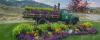 Photo of old truck with a garden