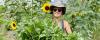 Kamloops Food Policy volunteer wearing sunglasses and a hat holding greens